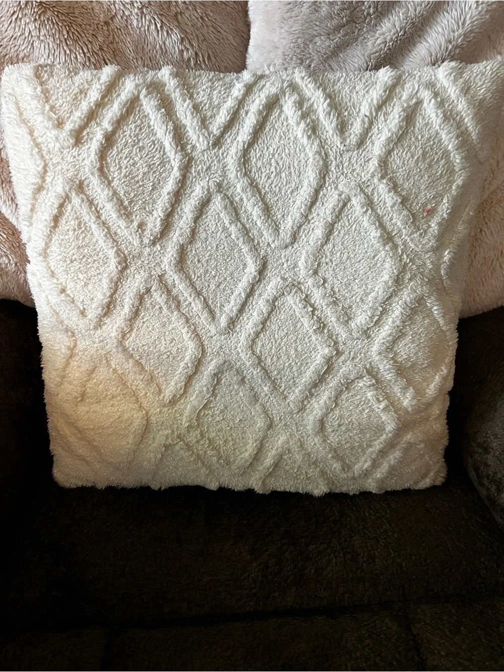 Plush Cream Decorative Throw Pillow Set - Soft Texture